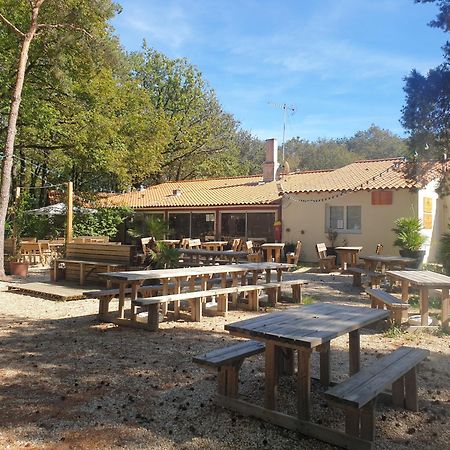 Mobilhome Proche Puy Dufou La Boissiere-de-Montaigu Exterior foto
